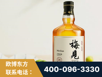 常州-梅见青梅酒